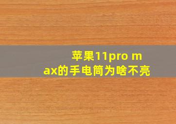 苹果11pro max的手电筒为啥不亮